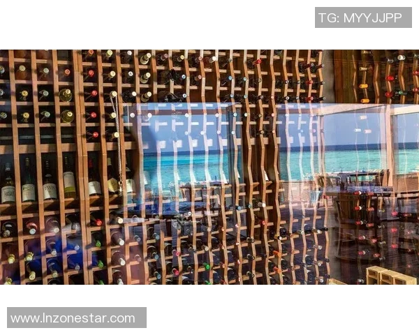 上海滑板队战术解析与对比研究揭示竞技优势与发展潜力 上海滑板队战术解析与对比研究揭示竞技优势与发展潜力